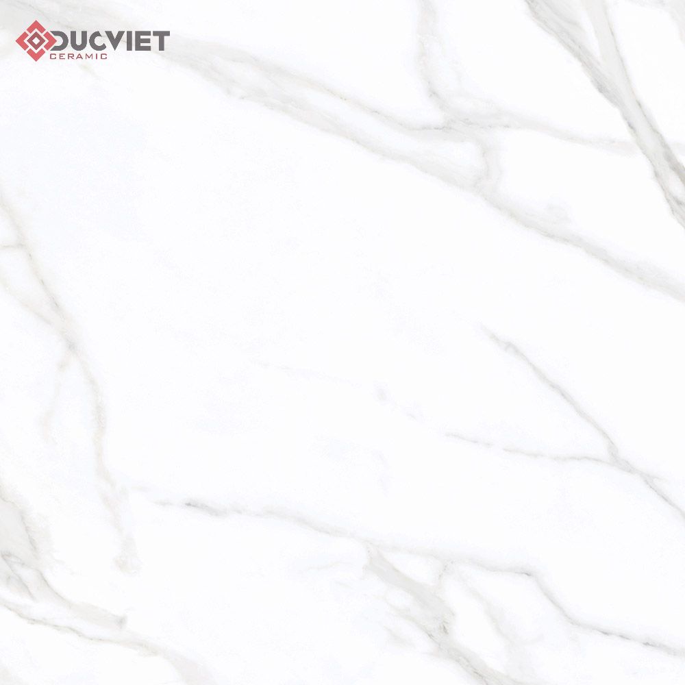 Gạch Eurotile SIG-P8805 80x80