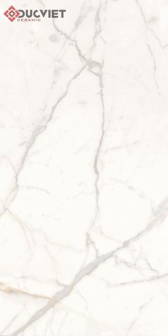 Gạch Eurotile SIG-P61203 60x120