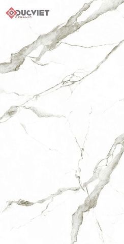 Gạch Eurotile SIG-P61206 60x120