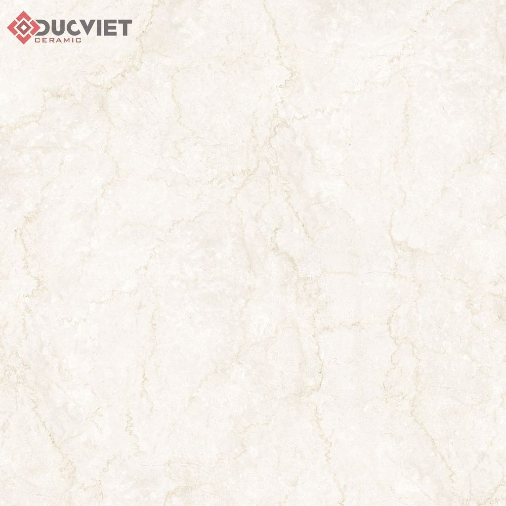 Gạch Eurotile THT S04P 120x120