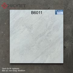 Gạch Viglacera 60x60 B6011