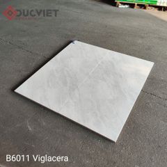 Gạch Viglacera 60x60 B6011