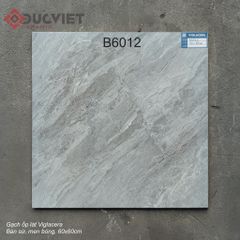 Gạch Viglacera 60x60 B6012