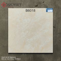 Gạch Viglacera 60x60 B6018