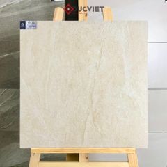 Gạch Viglacera 20mm 60x60 CL20-6601