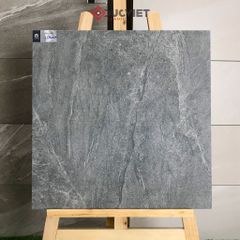 Gạch Viglacera 20mm 60x60 CL20-6604