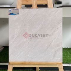 Gạch Viglacera 50x50 CL-CE502