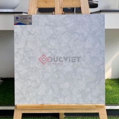 Gạch Viglacera 50x50 CL-CE506