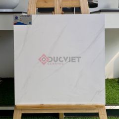 Gạch Viglacera 50x50 CL-CE510