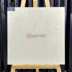 Gạch Viglacera 60x60 M6005