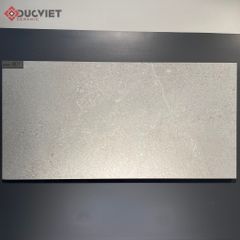 Gạch Eurotile NGC I01 45x90