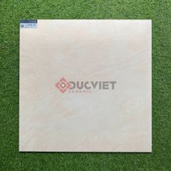 Gạch 60x60 Platinum PH66-02