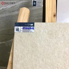 Gạch Eurotile 20mm PT20-G3601 30x60