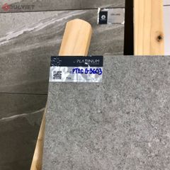 Gạch Eurotile 20mm PT20-G3603 30x60