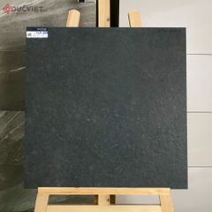 Gạch Eurotile 20mm PT20-G6604 60x60