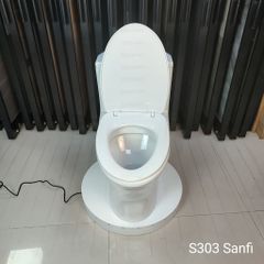 BÀN CẦU MỘT KHỐI SANFI S303