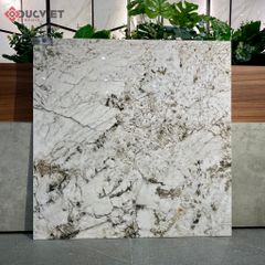 Gạch Eurotile SIG-NHV E01 80x80