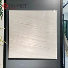 Gạch Eurotile SIG-P8804 80x80