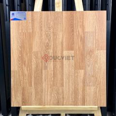 Gạch Viglacera 60x60 VG6004