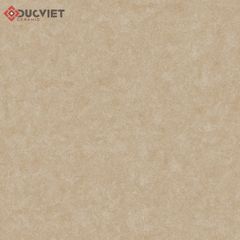 Gạch Viglacera 60x60 VG6002