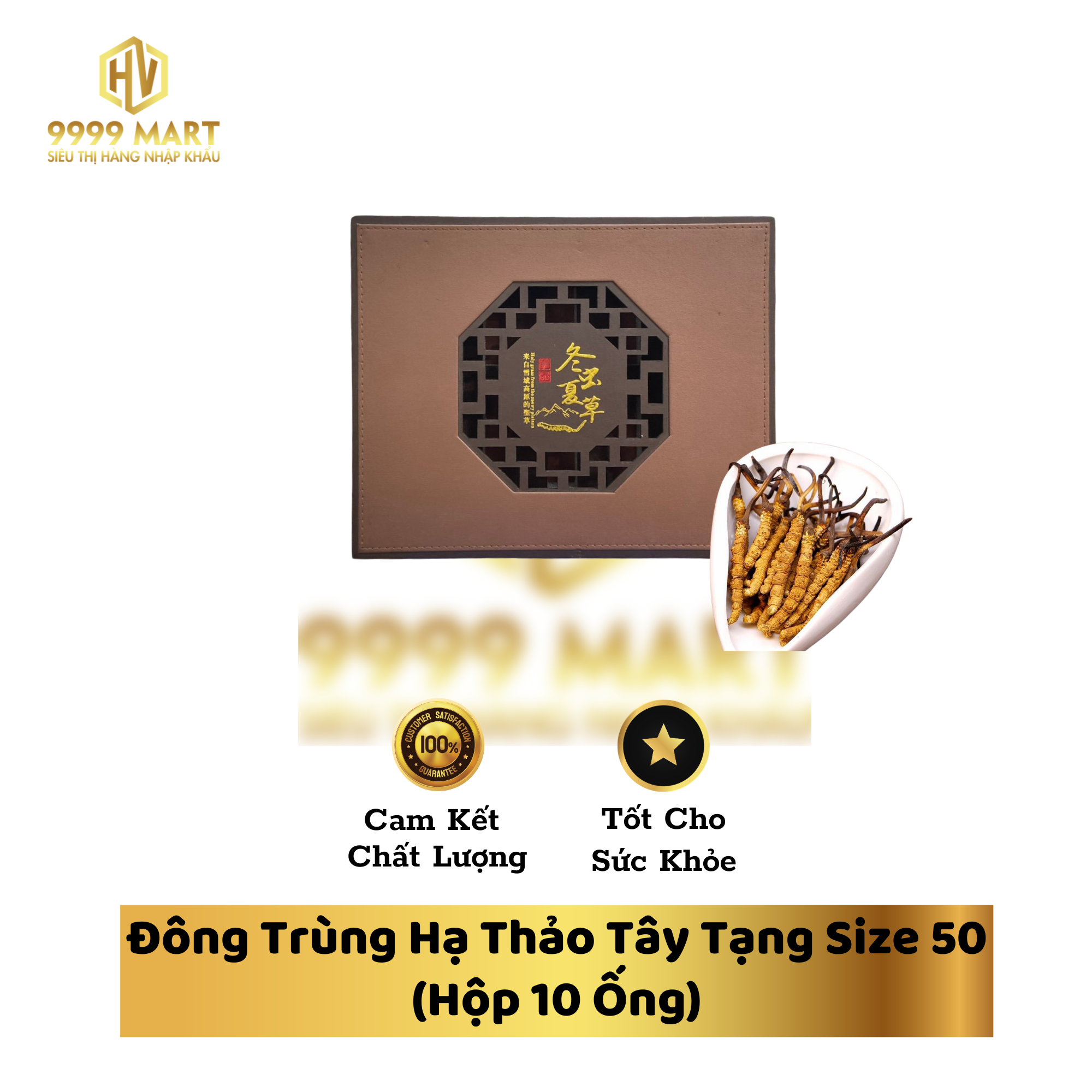 Đông Trùng Hạ Thảo Tây Tạng Size 50 (Hộp 10 Ống)