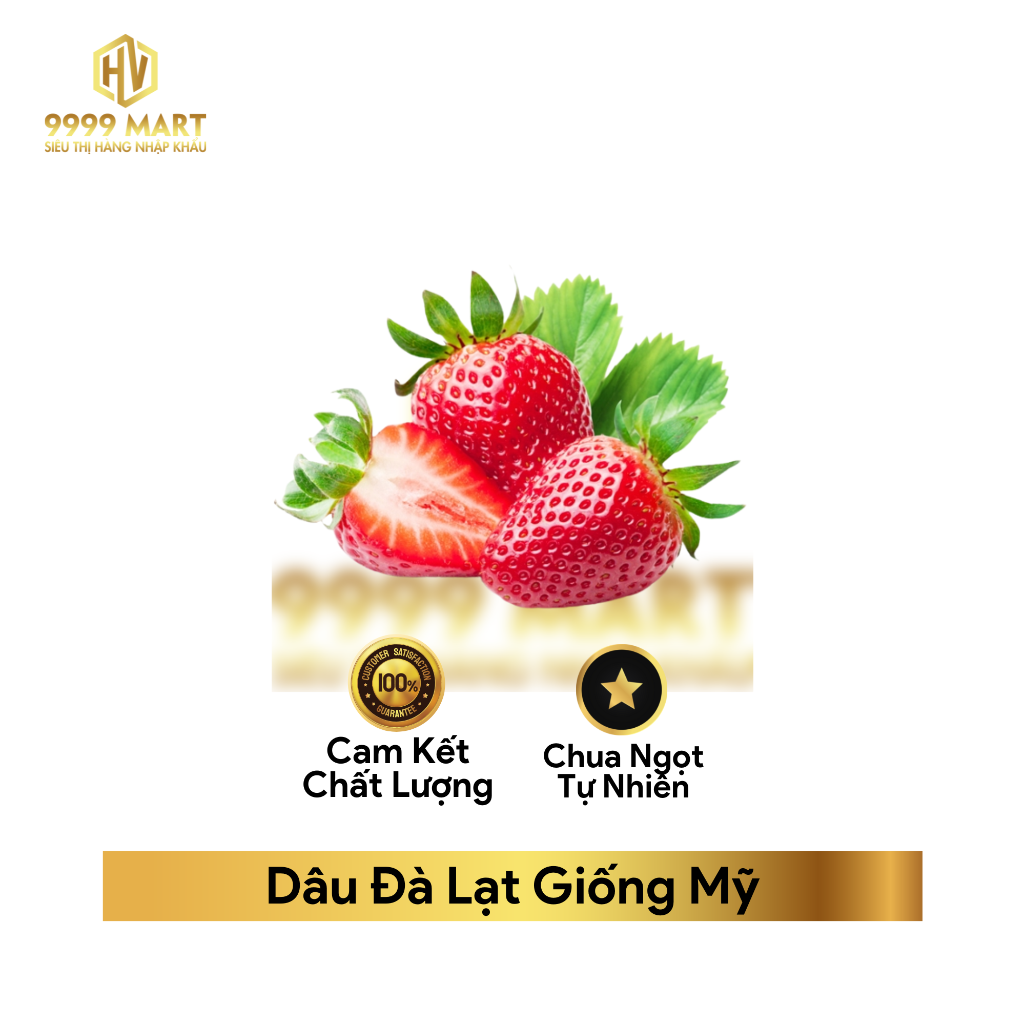 Dâu Đà Lạt Giống Mỹ