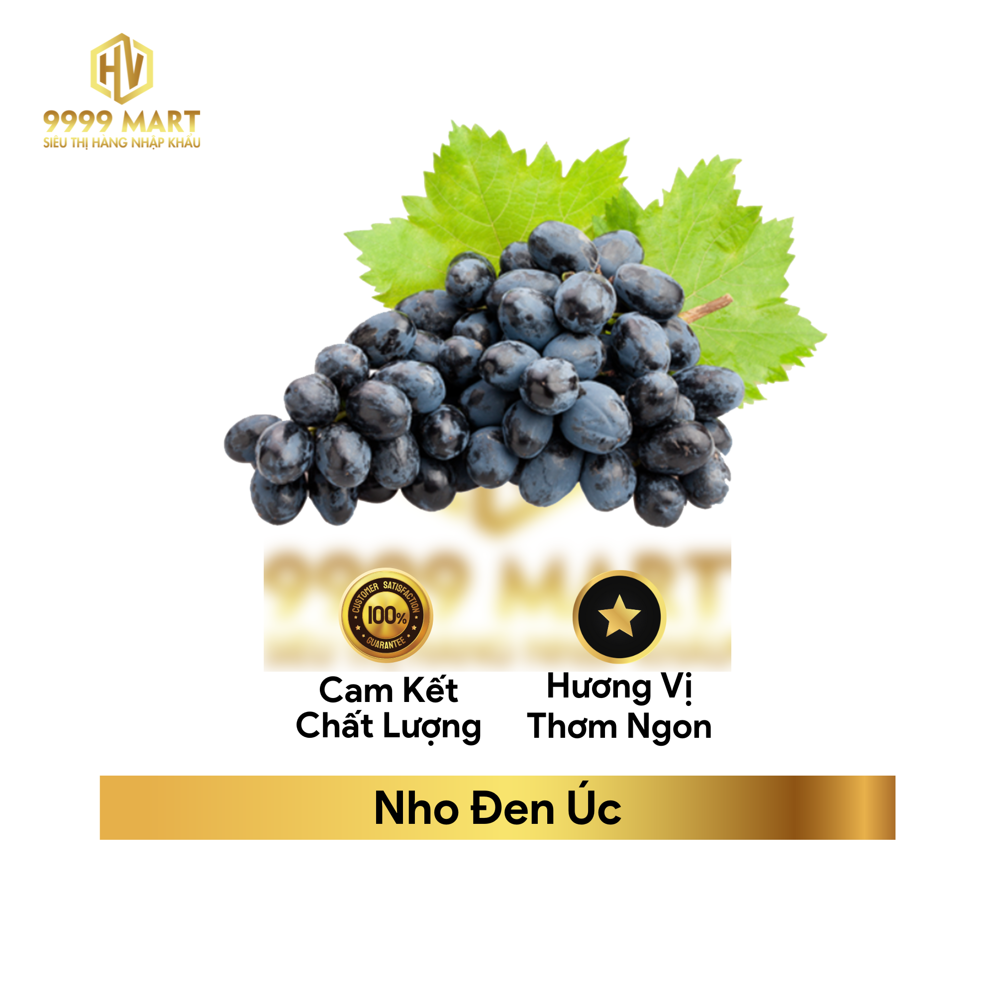 Nho Đen Úc