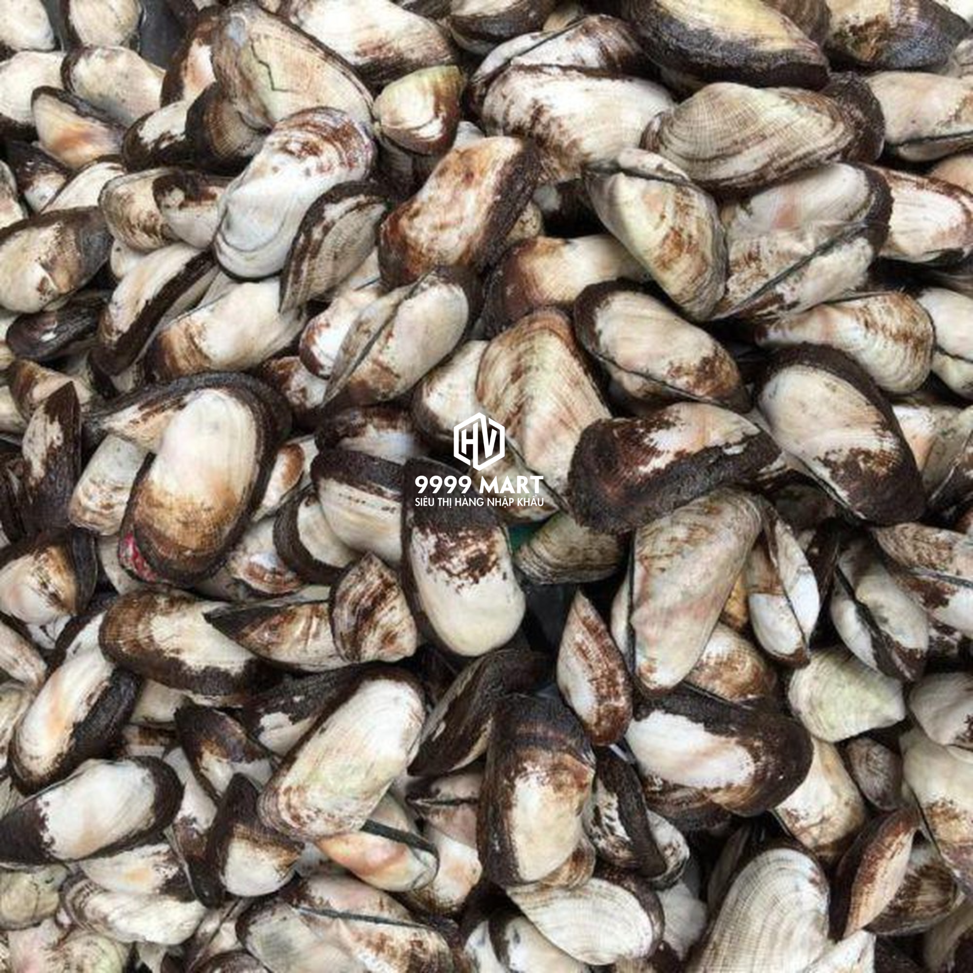 Sò Dẹo