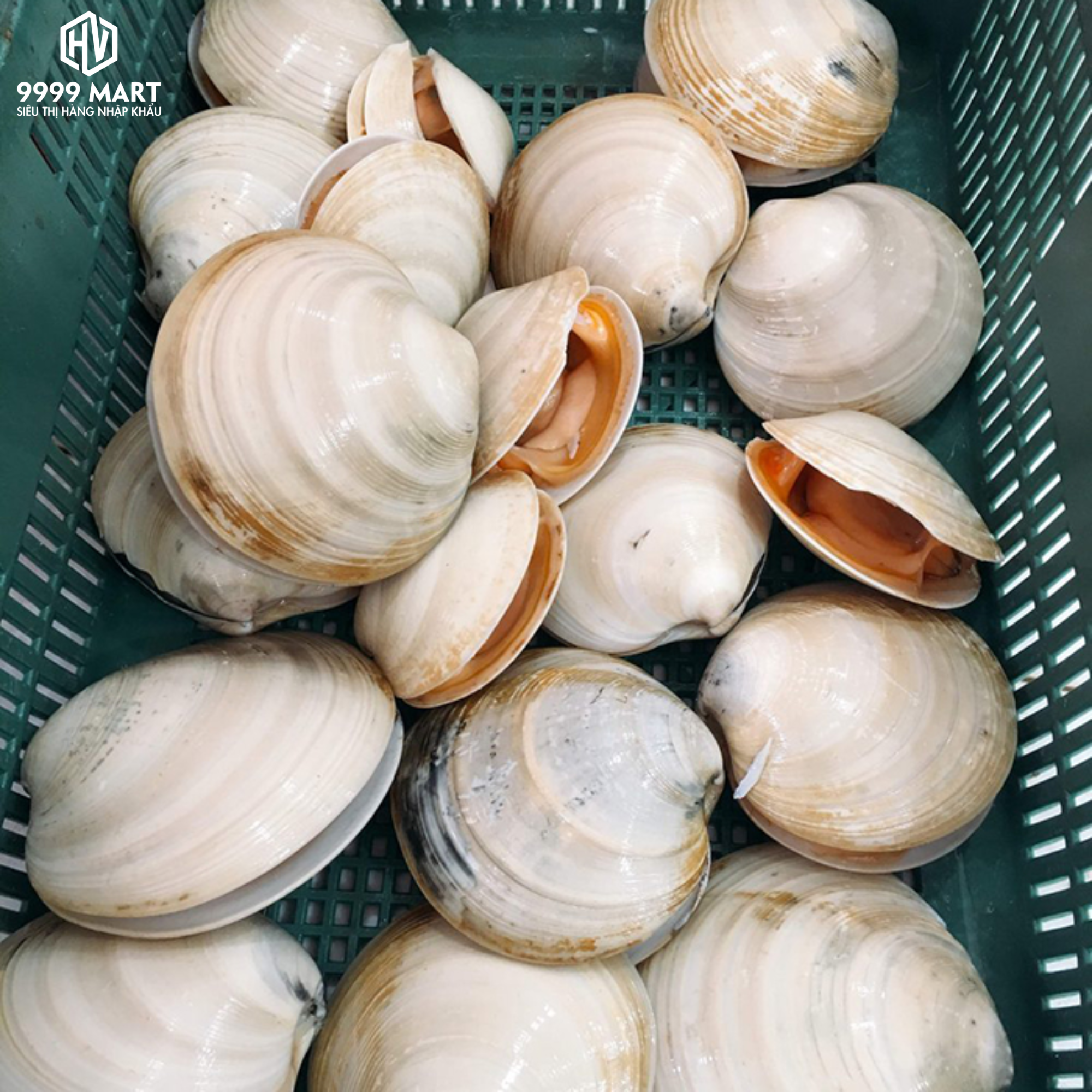 Sò Bơ Mỹ