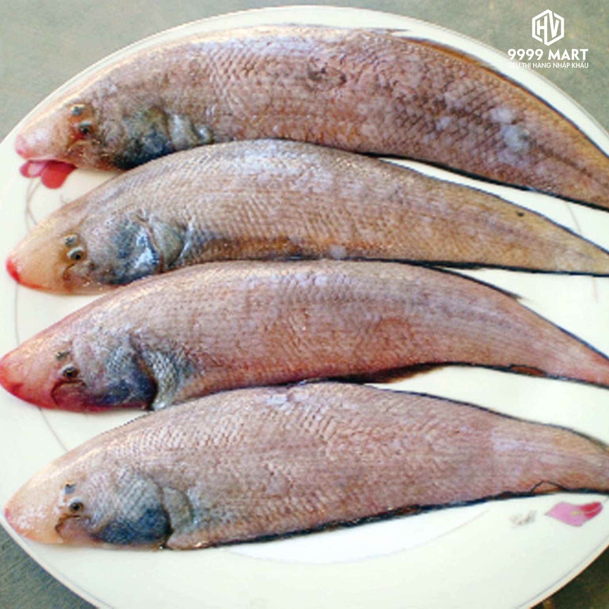Cá Lưỡi Trâu