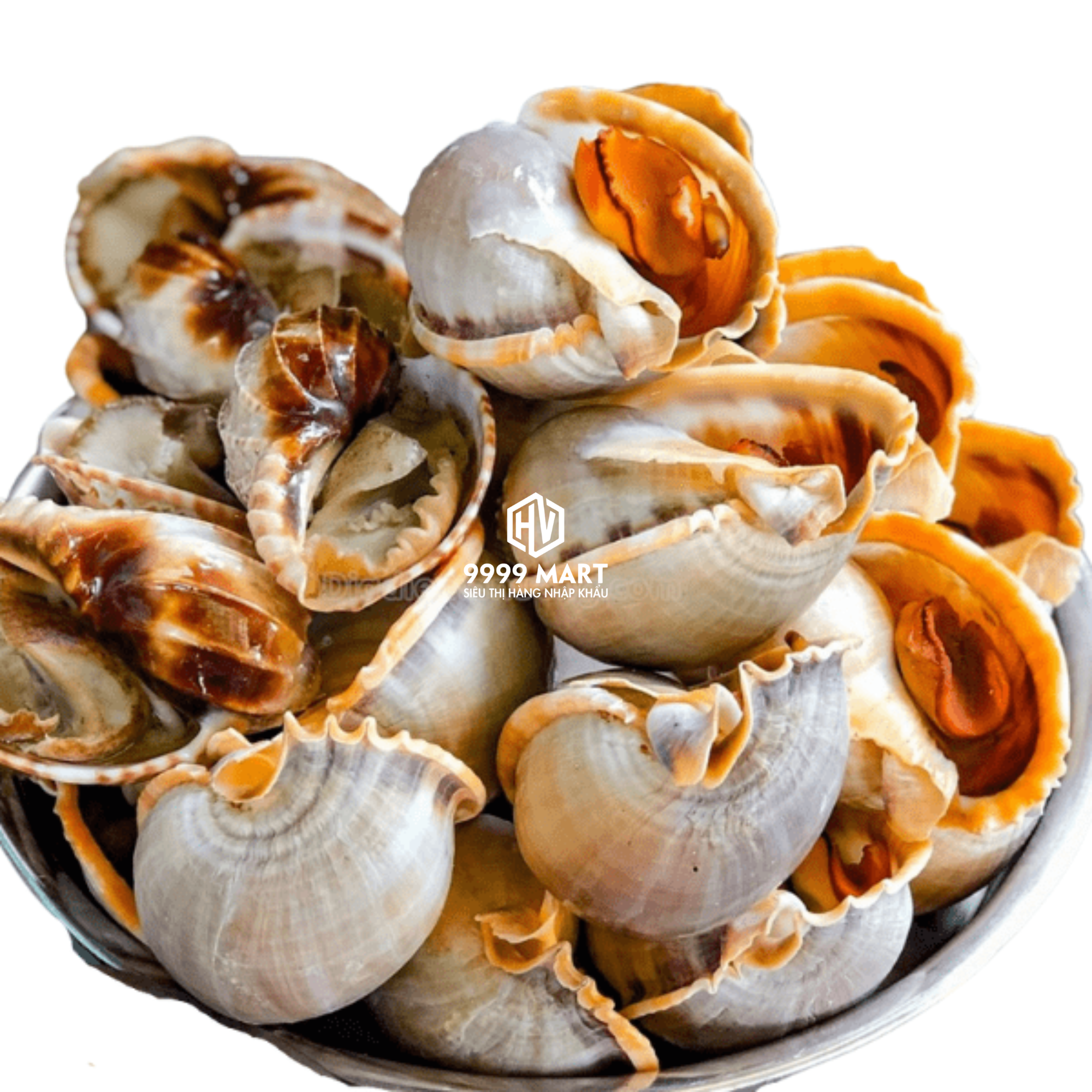 Ốc Tỏi