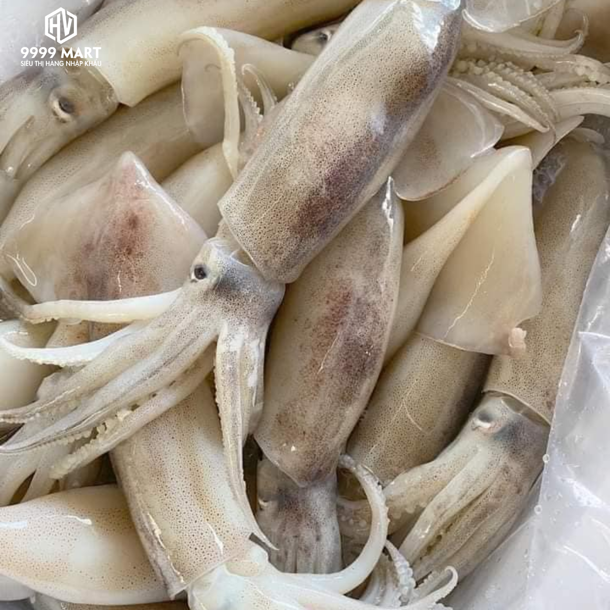 Mực Tua Kem Xăng