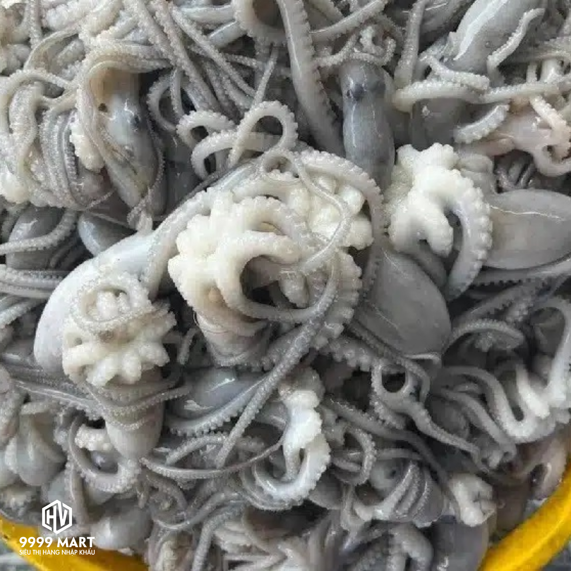 Mada Sông