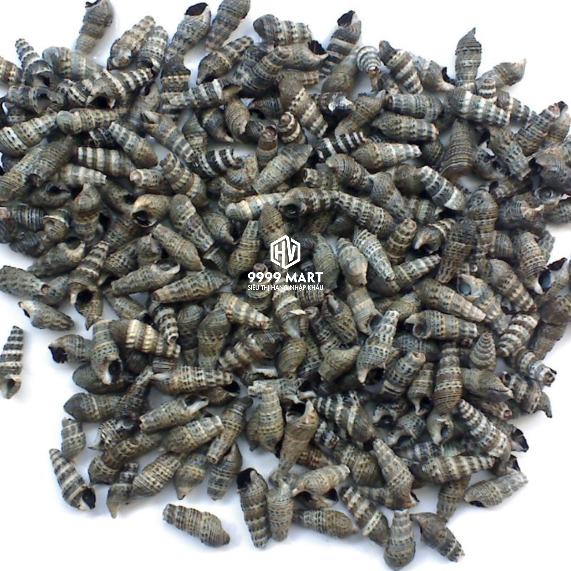 Ốc Đinh
