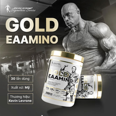 Kevin Levrone Gold EAAMINO 390G (30 Servings)