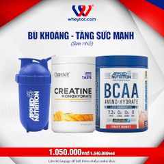 Combo BCAA Amino Hydrate 450gr + Creatine 500gr + Bình Lắc Applied
