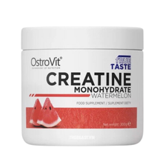 Ostrovit Creatine Monohydrate 300G (60 Servings)