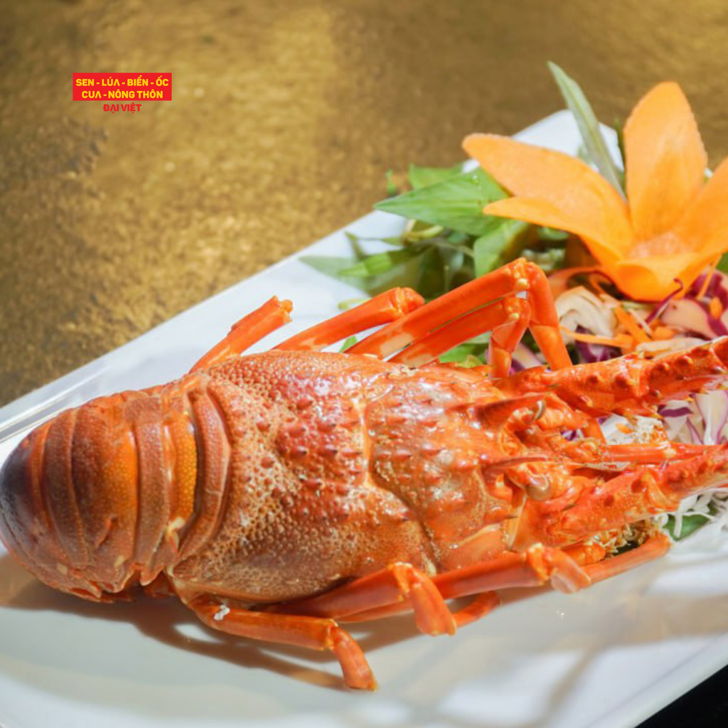Steamed Scalloped Spiny Lobster - Tôm Hùm Xanh Hấp (Giá tính theo 1 con 600 gram)