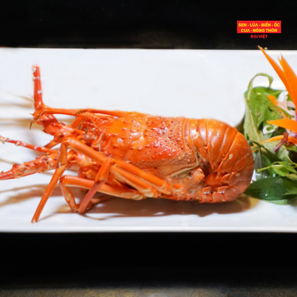 Steamed Baby Lobster - Tôm Hùm Baby Hấp