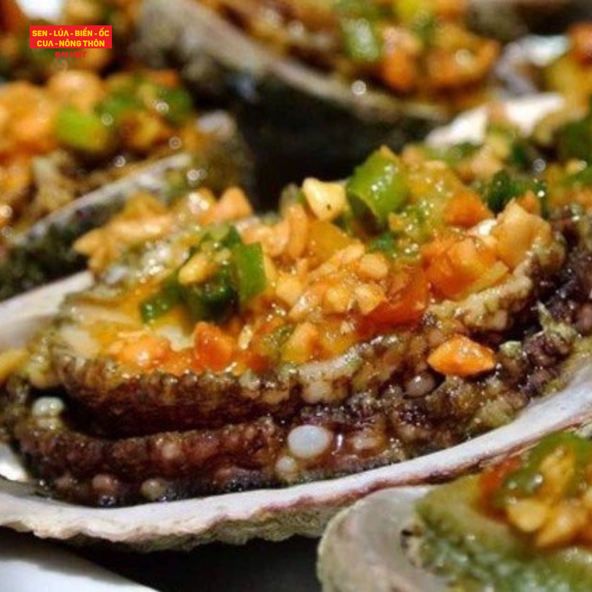 Grilled Abalone With Garlic & Butter - Bào Ngư Nướng Bơ Tỏi (Giá tính theo phần 300 gram)