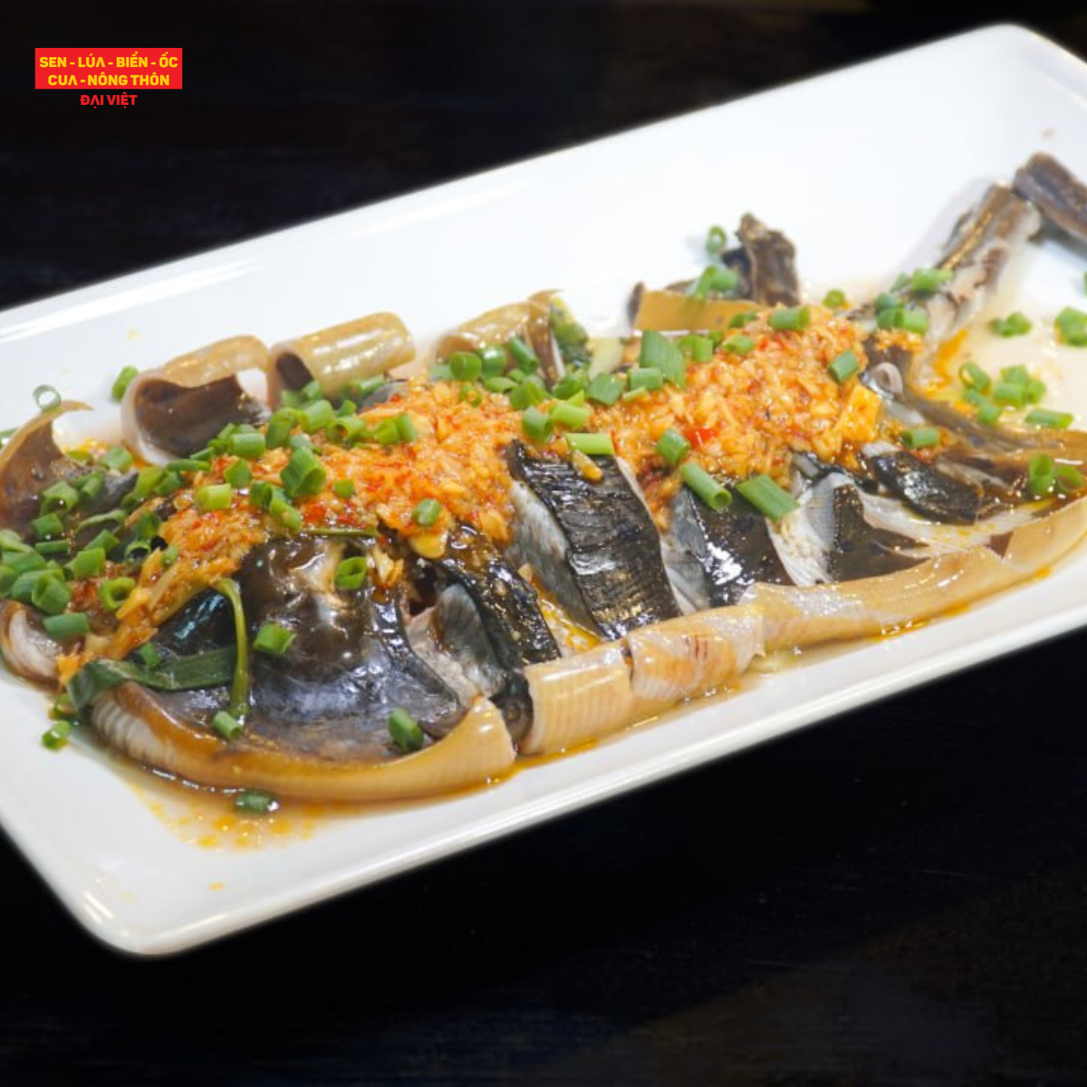 Steamed Bluedspotted Ribbontail Ray With Scaliion Oil - Cá đuối sao xanh hấp mỡ hành (con 1 kg)