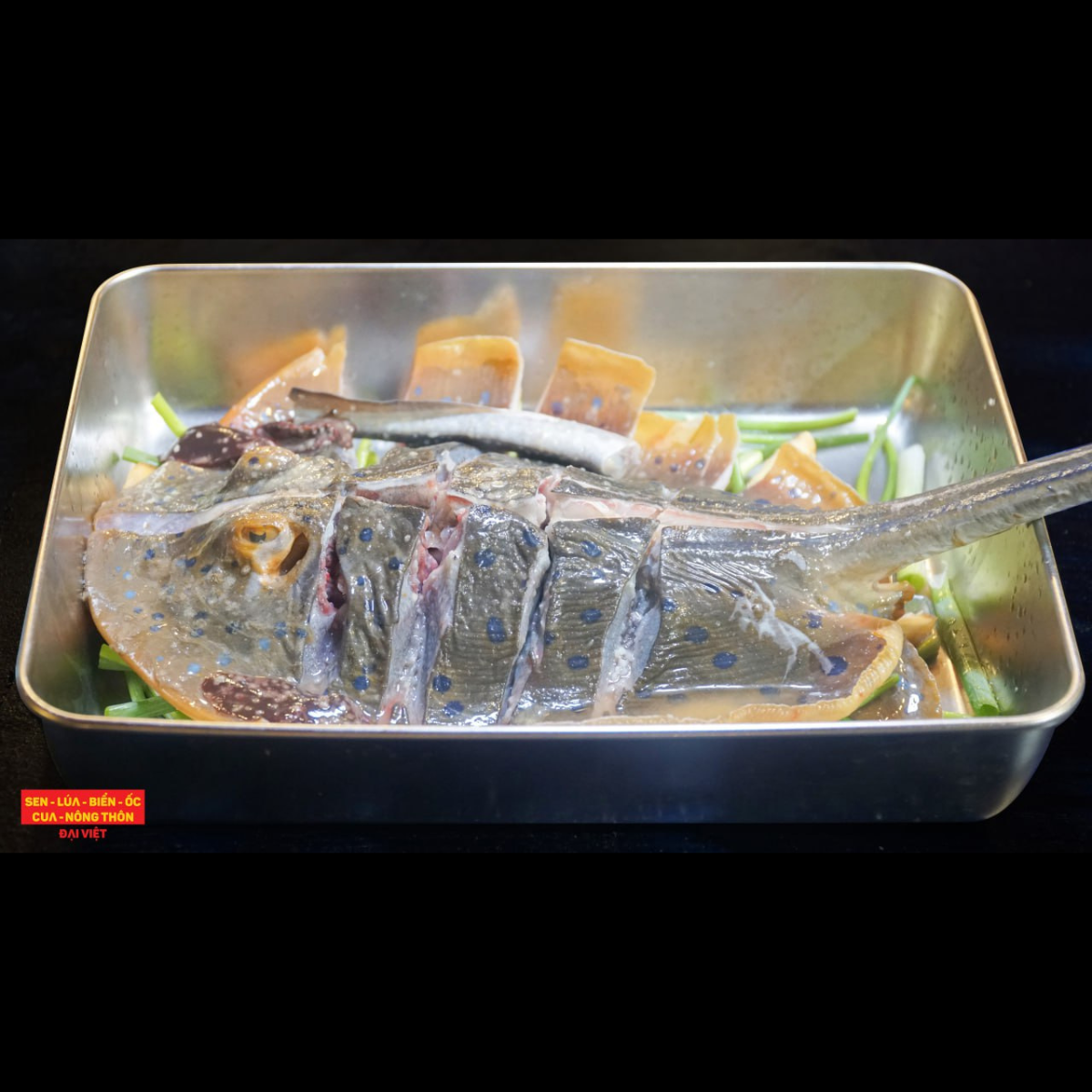 Steamed Bluedspotted Ribbontail Ray With Scaliion Oil - Cá đuối sao xanh hấp mỡ hành (con 1 kg)