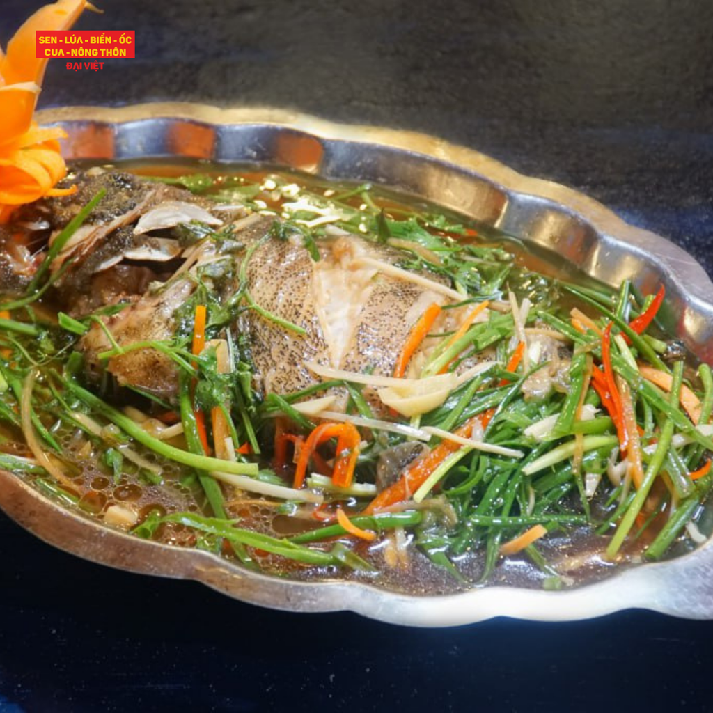  Steamed Grouper with Soy Sauce - Cá Bống Mú Hấp Xì Dầu (Giá tính theo 1 con 1 kg) 