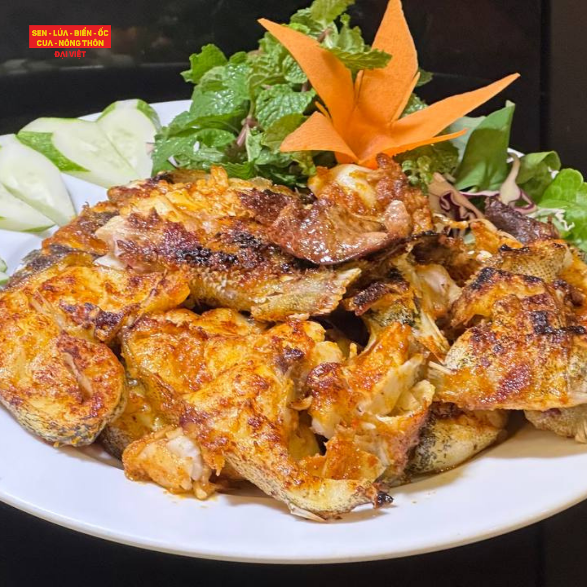  Grilled Grouper With Salt & Chilli - Cá Bống Mú Nướng Muối Ớt (Giá tính theo 1 con 1 kg) 