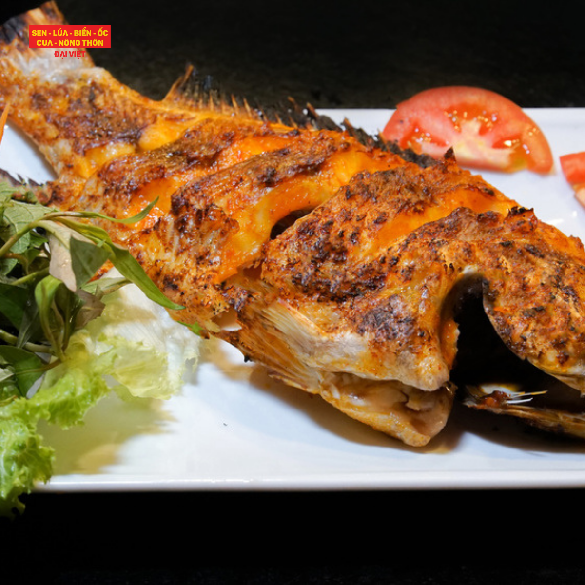  Grilled Red Tilapia With Salt & Chilli - Cá Diêu Hồng Nướng Muối Ớt 