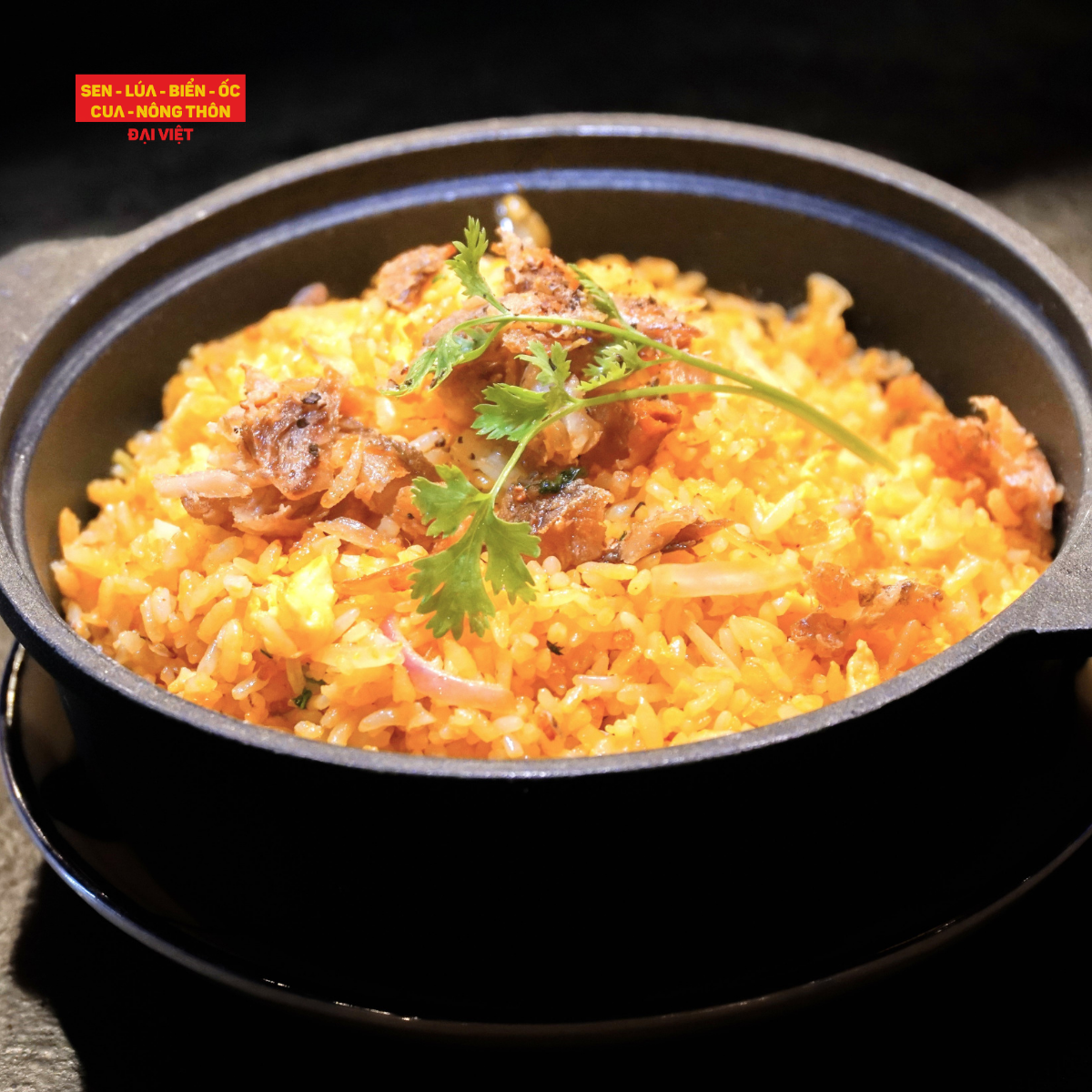 Fried Rice With Salted Fish - Cơm Chiên Cá Mặn