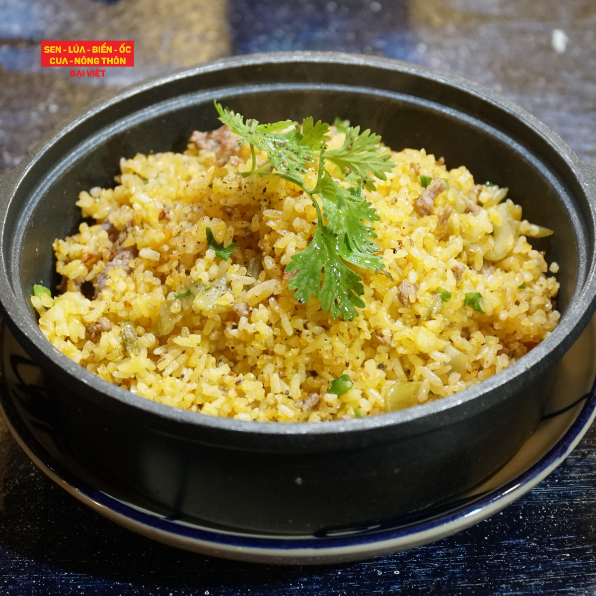  Fried Rice With Beef And Pickled Mustard Greens - Cơm Chiên Dưa Bò 
