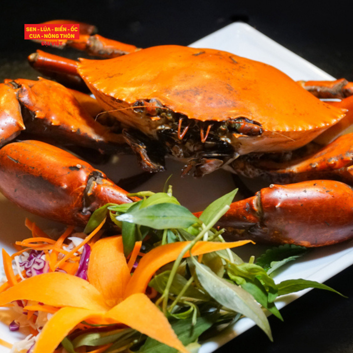 Steamed Ca Mau Crab - Cua Cà Mau Hấp (Giá tính theo 1 con 300 gram)