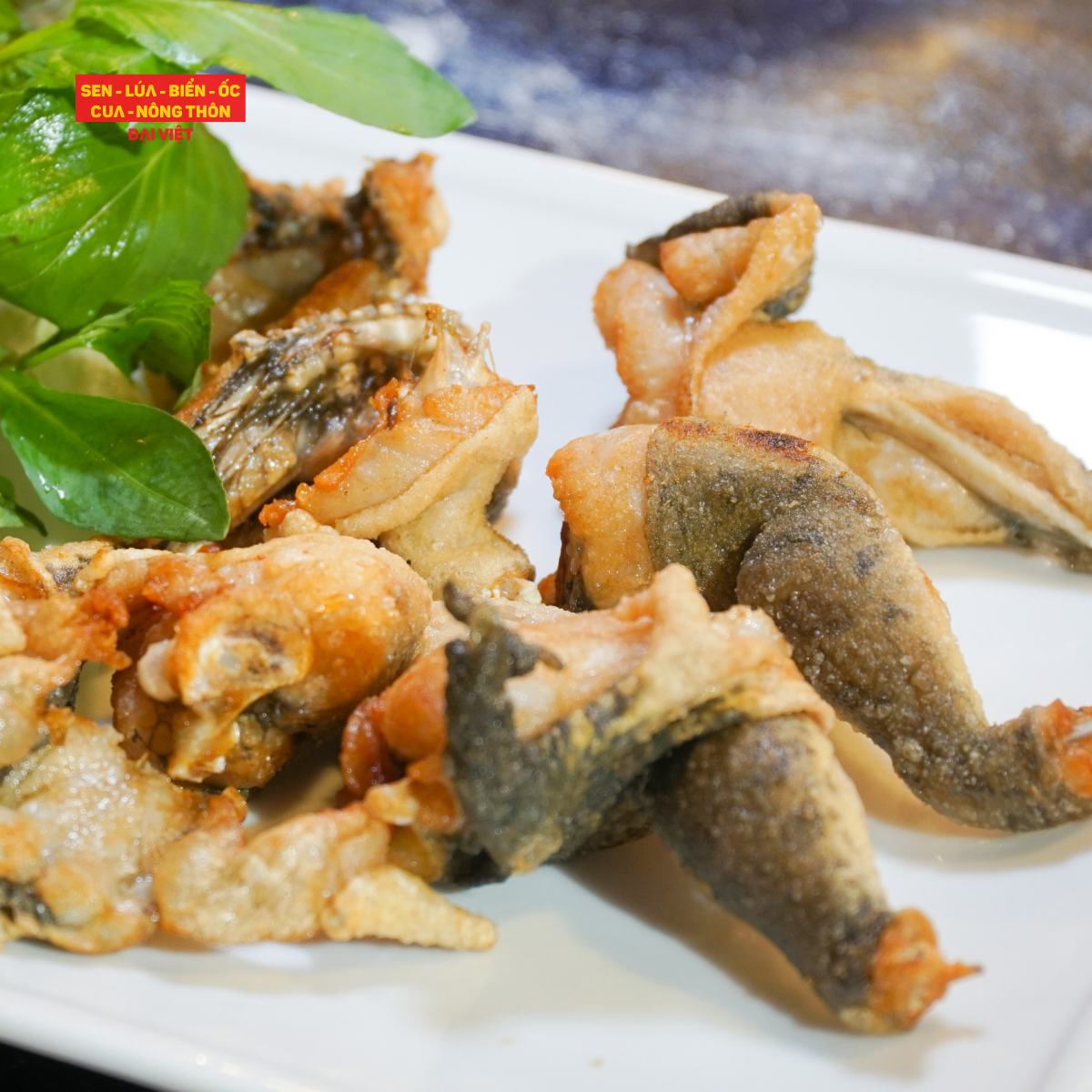 Crispy Fried Frog (Still Have Skin) - Ếch Chiên Giòn Để Da