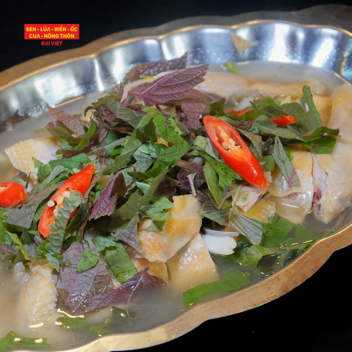 Steamed Bantam Chicken With Rice Wine - Gà Tre Hấp Rượu